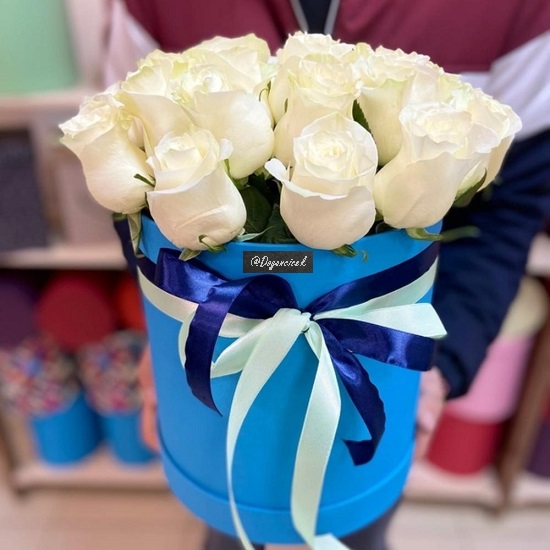 Kutu Beyaz Güller